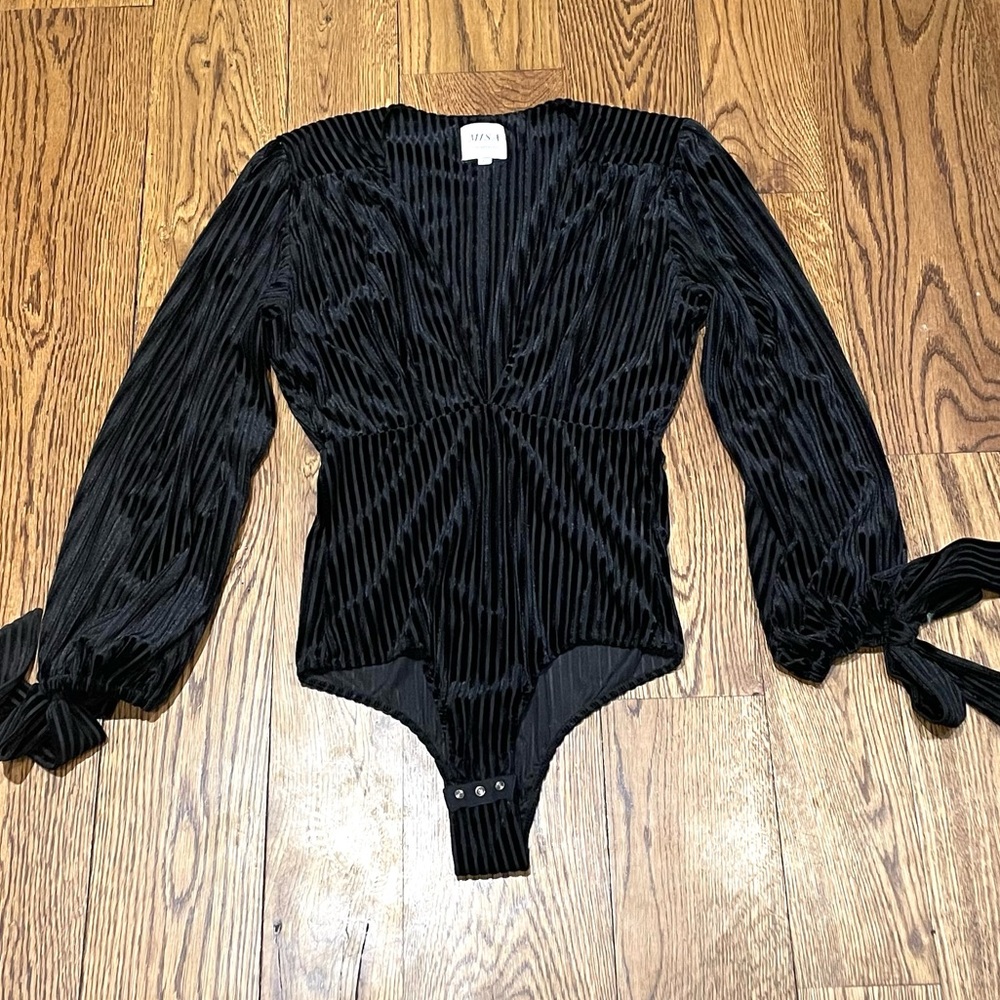Misa Los Angeles Velvet Plunging V Bodysuit.